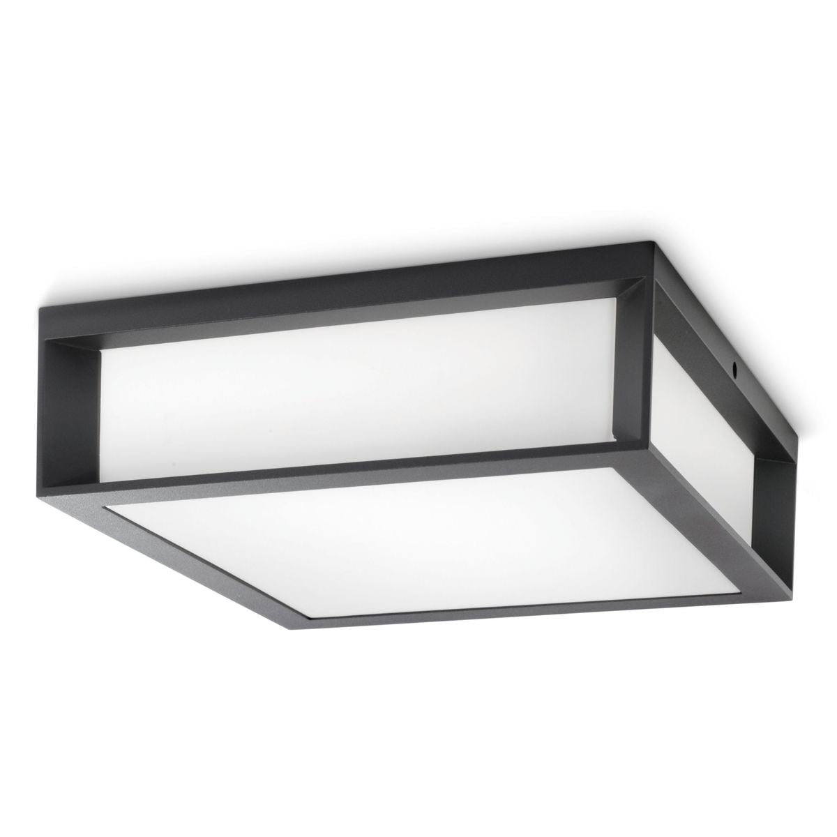 Philips - Skies wall lantern anthracite 2x14W 230V