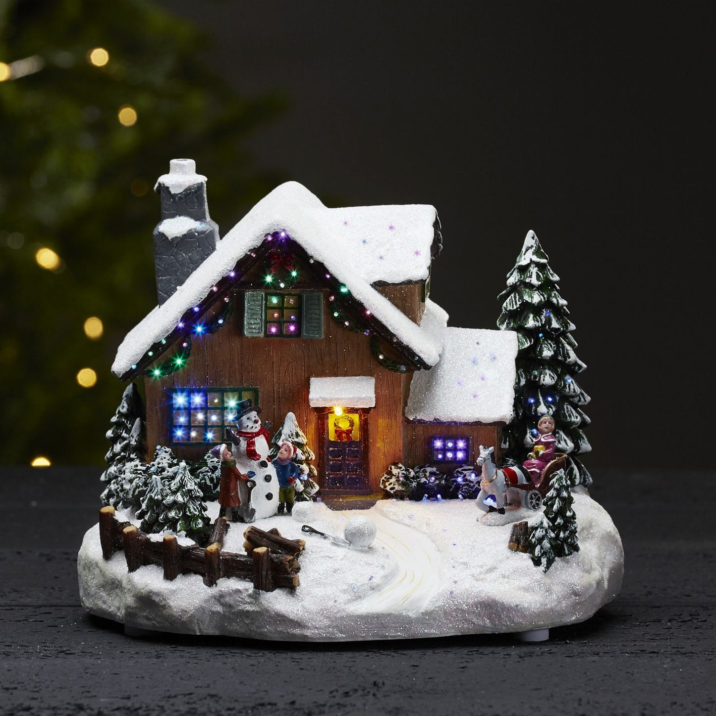 panorama-winterville-992-16