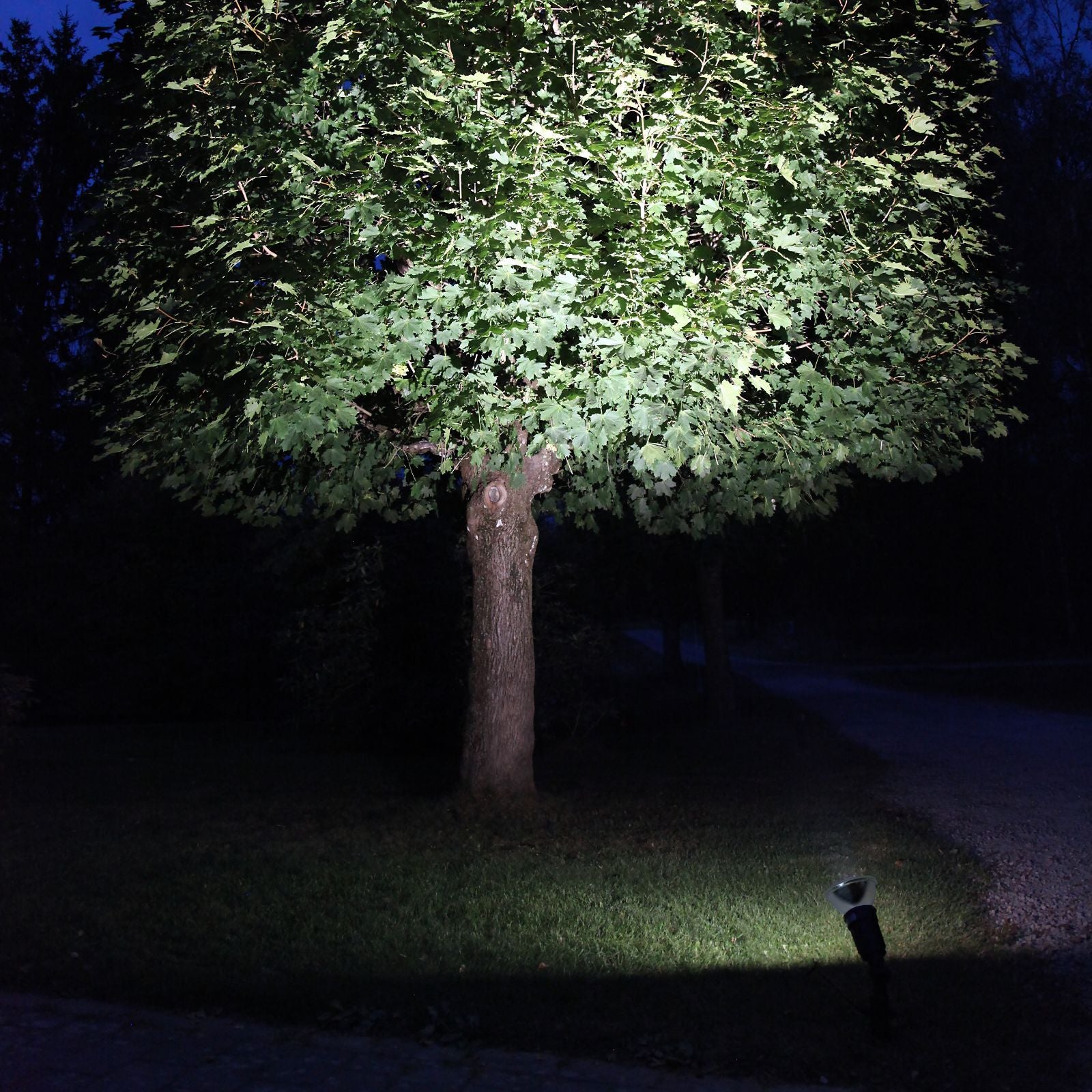 led-lampa-e27-par38-spotlight-outdoor-356-98