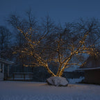 ljusslinga-start-system-24-492-71-1