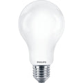 Philips - LED clásico 150W A67 E27 CW FR ND 1SRT4