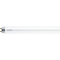 Philips - LED T8 600mm 8W G13 CW 1CT/4