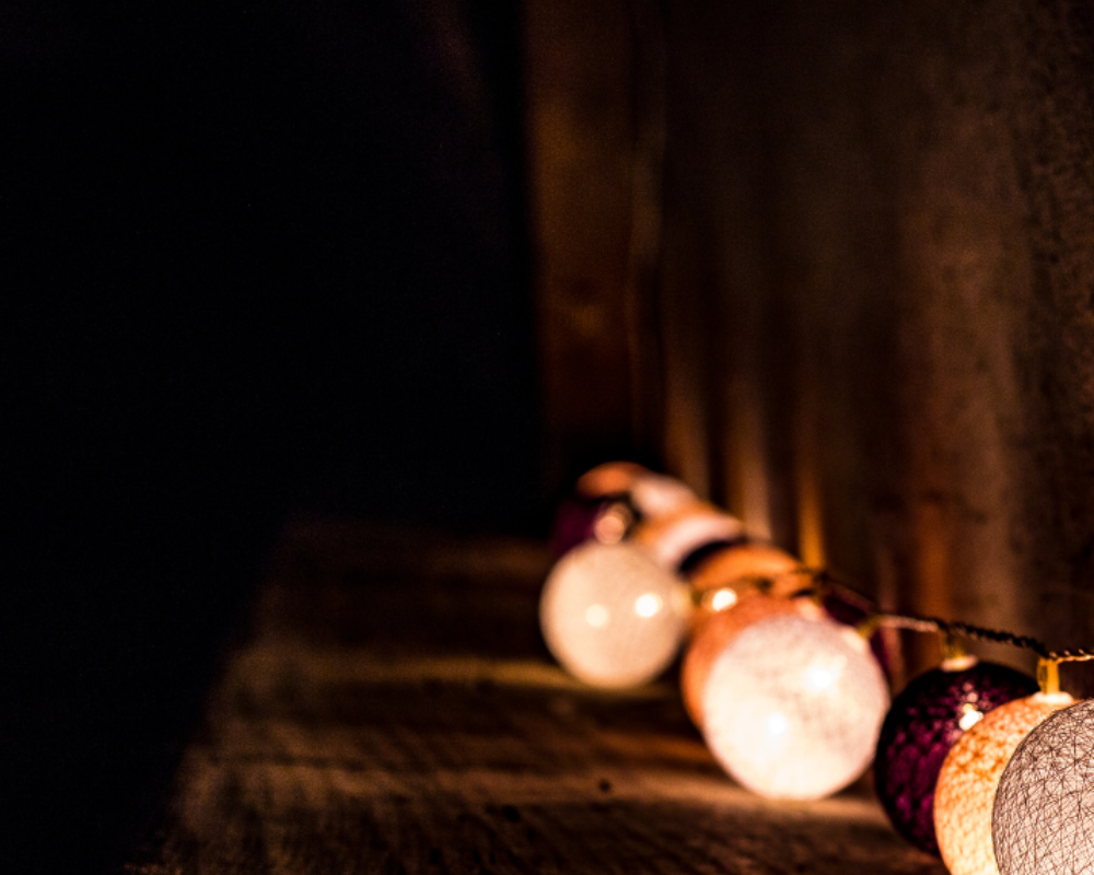 LOS FAVORITOS DEL REY